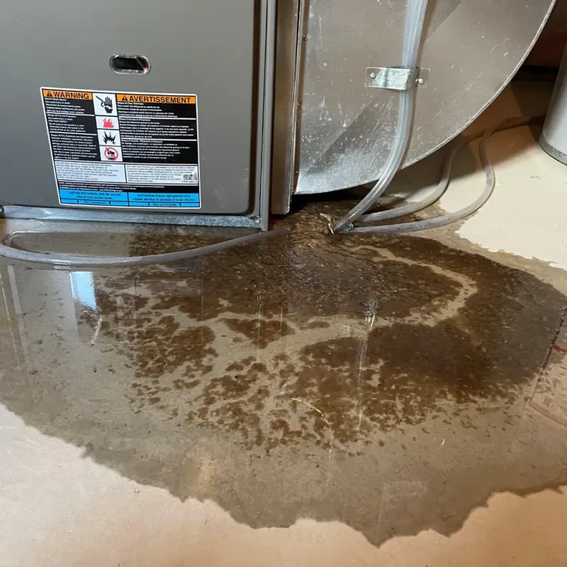 Appliance Leak Cleanup in Sans Souci, SC