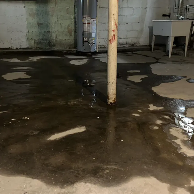 Emergency Water Extraction And Removal in Sans Souci, SC